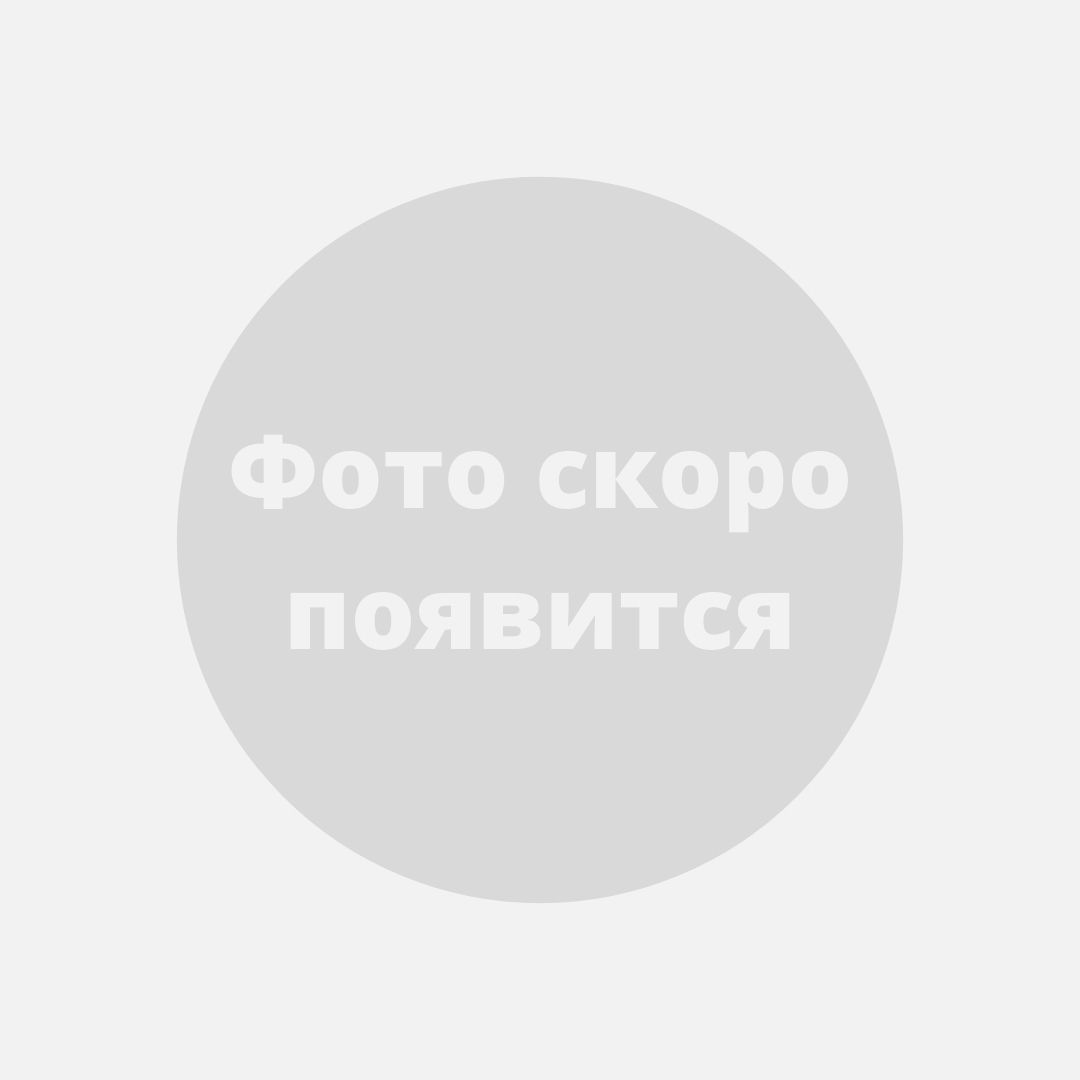 Стул-кресло Венеция CLASSIC Стул-кресло "Венеция Классик" Крем, Золото Крем