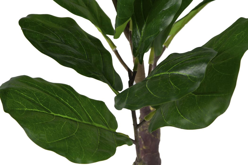 Искусственные растения Фикус лирата MK-7407-FC 0х0х120 см Темно-зеленый MK-7407-FC Темно-зеленый